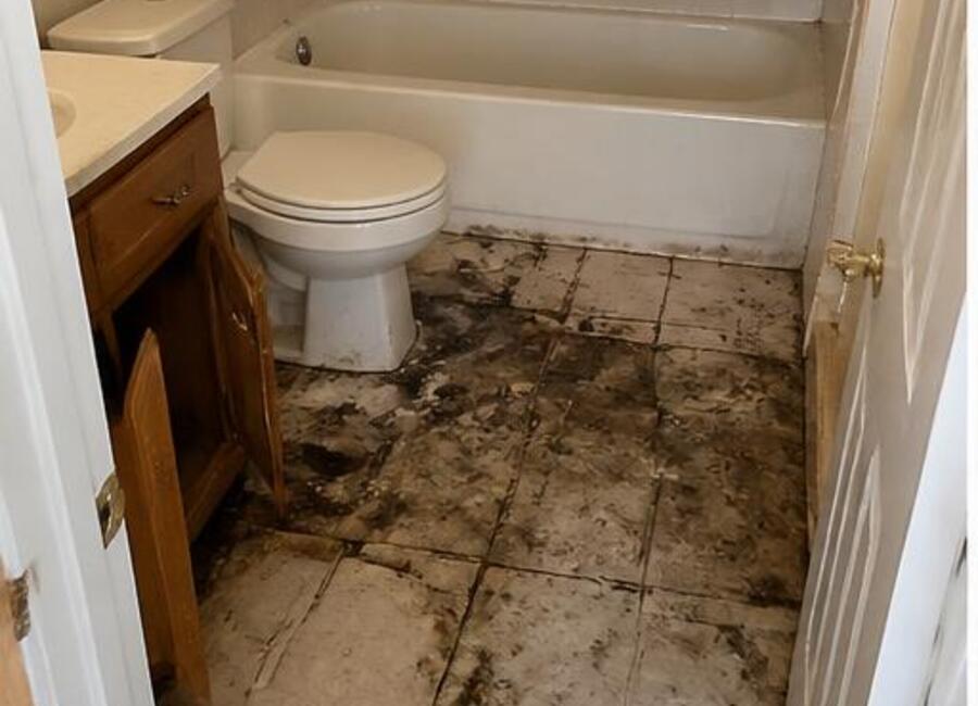 Bathroom Backup Recovery before restoration
