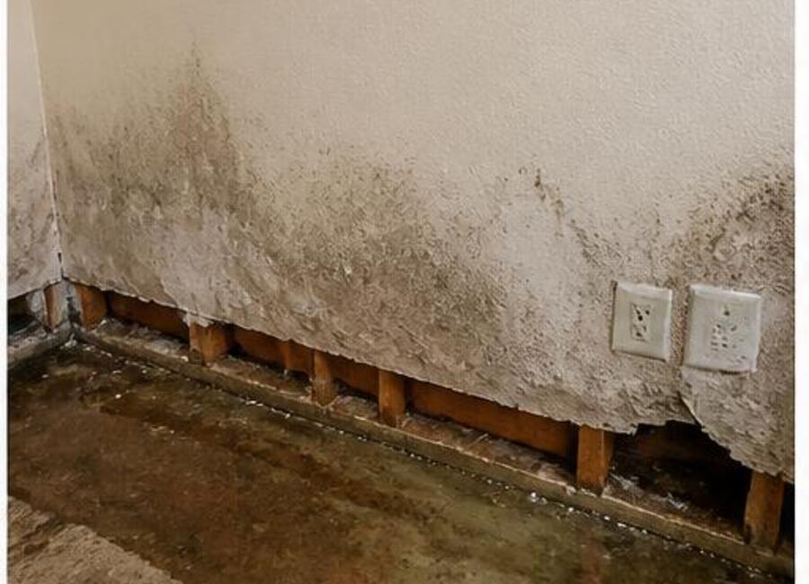 Wall & Baseboard Recovery before restoration